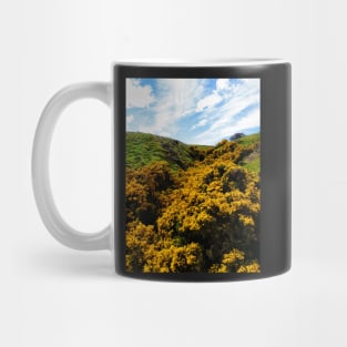 Scotland in May Mug